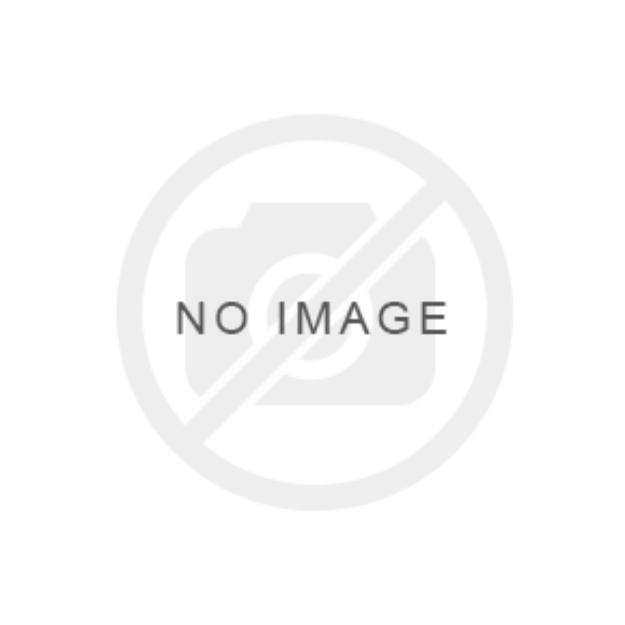 صورة مسدس عيار 9mm من شركة Reximex موديل TRX9 DOUTONE TUNGSTEN صناعة تركيا